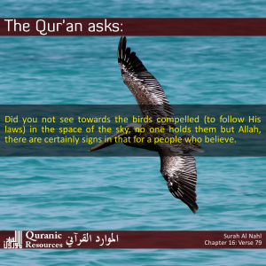 The Quran Asks: 16-79