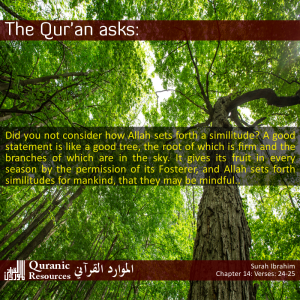 The Quran Asks 14-24-25