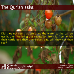 The Quran Asks 32-27