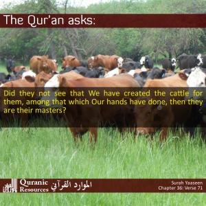 The Quran Asks 36-71