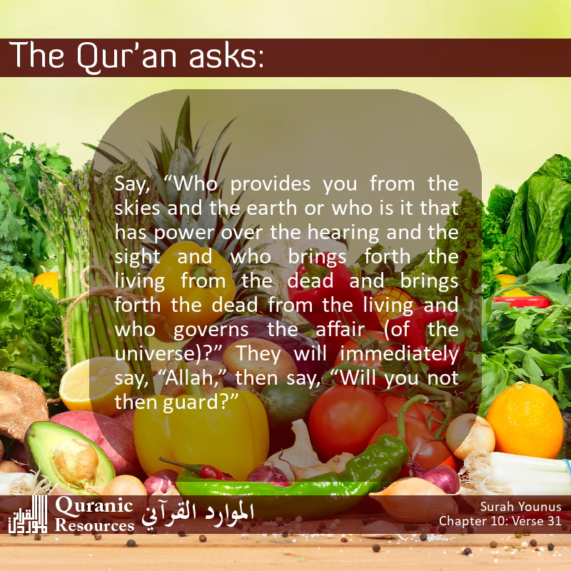 The Quran Asks 10-31
