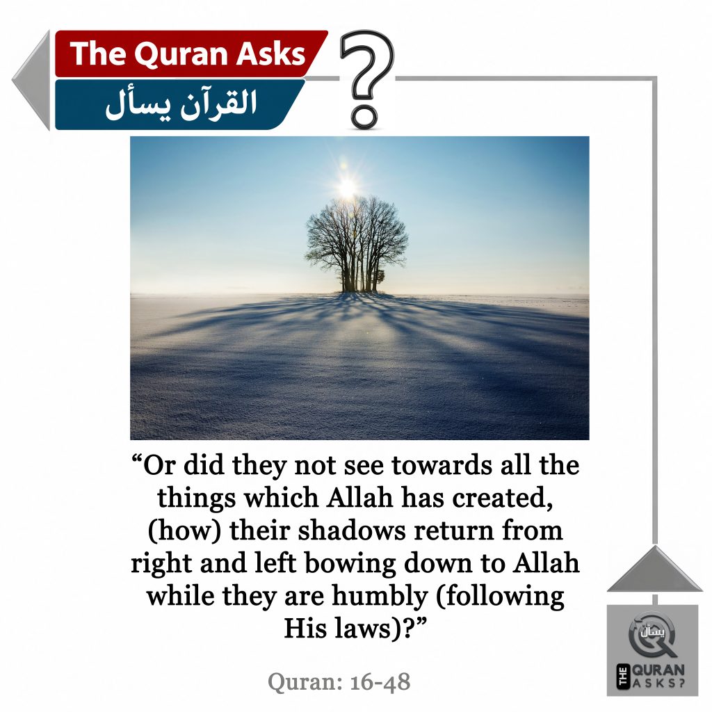 The Quran Asks 16-48
