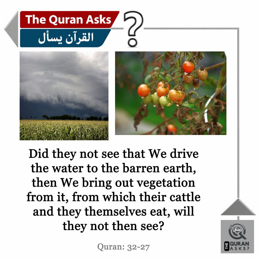 The Quran Asks 32-27